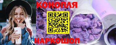 прущие грибы Заводоуковск