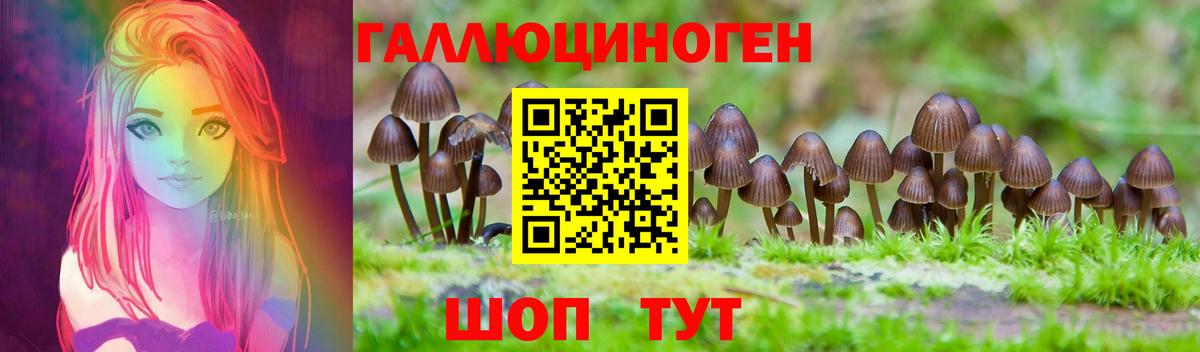 Псилоцибиновые грибы MAGIC MUSHROOMS Балтийск